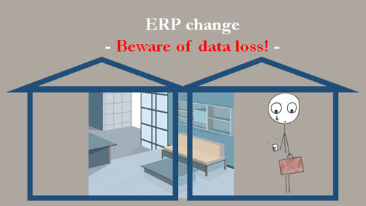 Part II. ERP change? - Beware of data loss!